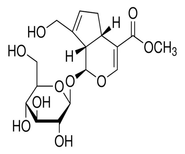 GENIPOSIDO pack 1X20MG