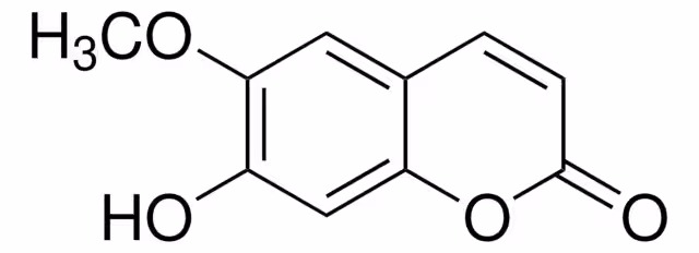 ESCOPOLETIN pack 1X50MG