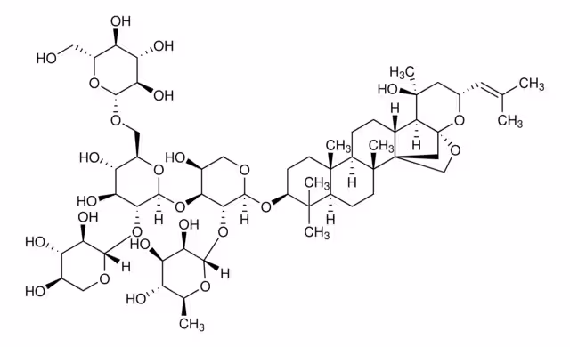 JUJUBÓSIDO A paquete 1X10MG