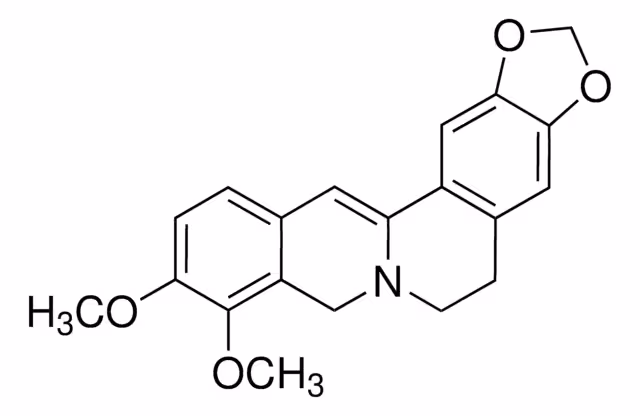 DIHIDROBERBERINA pack 1X10MG
