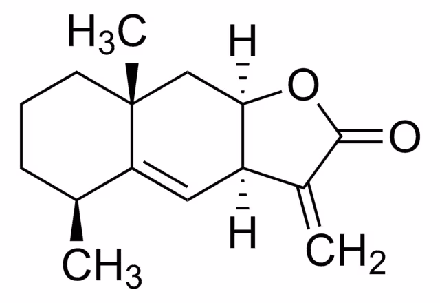 ALANTOLACTONA pack 1X10MG