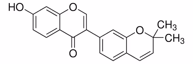 CORYLIN pack 1X10MG