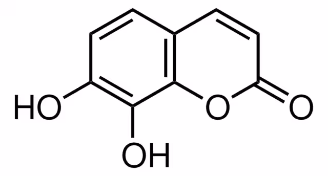 DAFNETINA pack 1X10MG