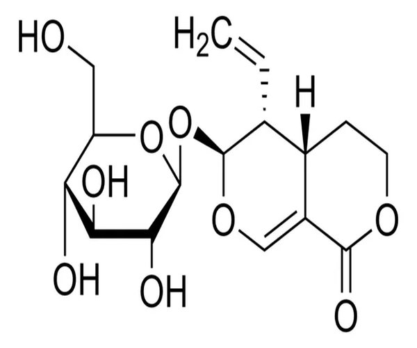 SWEROSIDE paquete 1X10MG