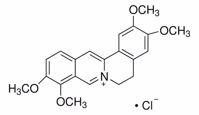 CLORURO DE PALMAtina pack 1X25MG