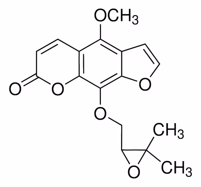BYAKANGELICOL pack 1X10MG