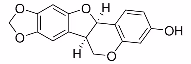 (-)-MAACKIAIN pack 1X10MG