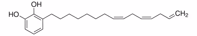 URUSHIOL (15:3) pack 1X10MG