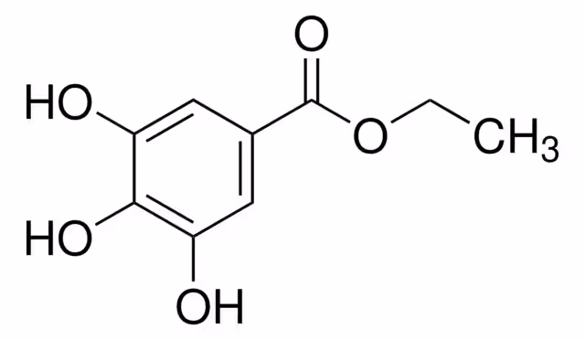 GALATO DE ETILO pack 1X100MG