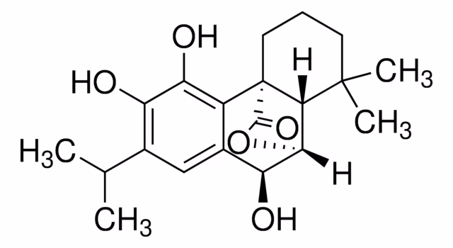 ROSMANOL pack 1X10MG