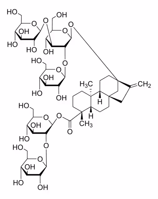 REBAUDIOSIDO D paquete 1X10MG