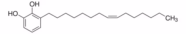 URUSHIOL (15:1) paquete 1X10MG