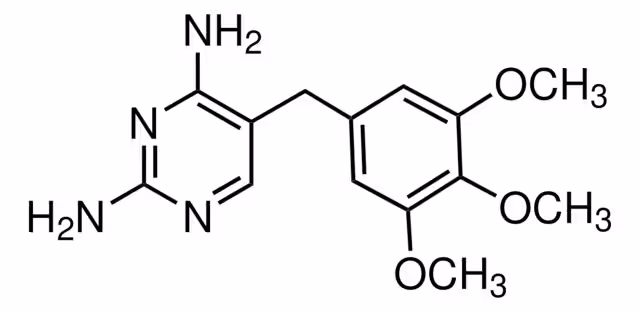 TRIMETOPRIM pack 1X250MG