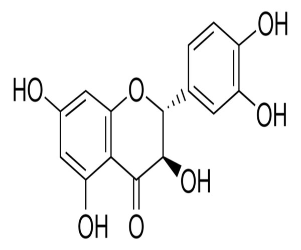TAXIFOLIN* pack 1X25MG
