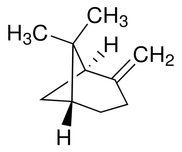 (+)-BETA-PINENO, TERPENO ESTÁNDAR pack 1X1ML