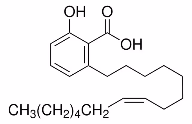 ÁCIDO GINKGÓLICO C15:1 paquete 1X10MG