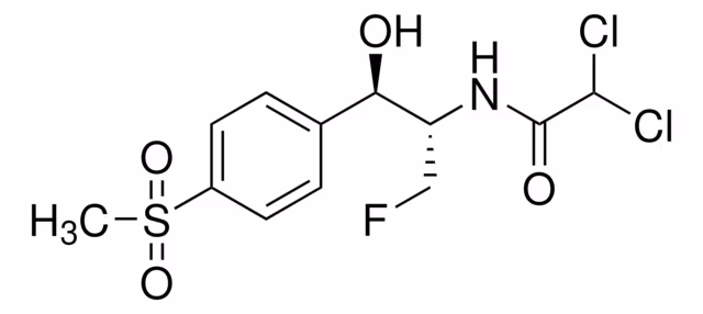 FLORFENICOL pack 1X500MG