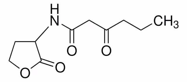 N-(B-KETOCAPROYL)-DL-HOMOSERINA LACTONA pack 1X25MG