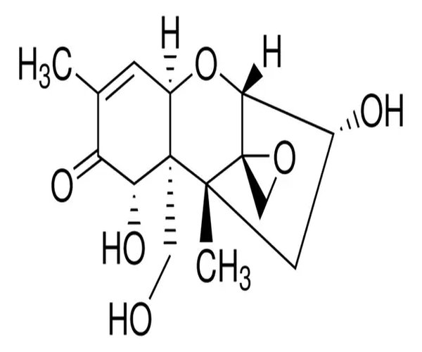 SOLUCIÓN DE DEOXYNIVALENOL, 100 5G/ML EN ENVASE AC 1X2ML