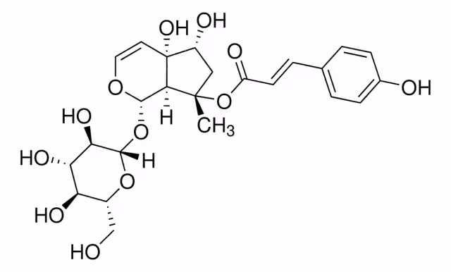 8-P-CUMAROILHARPAGIDA paquete 1X10MG