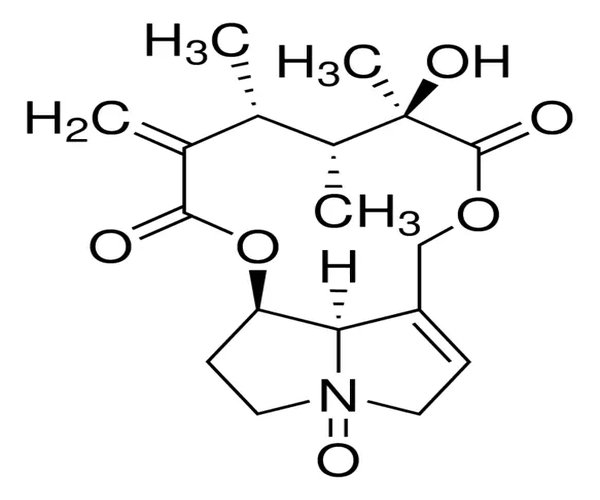 N-OXIDO DE SENECIVERNINA pack 1X5MG