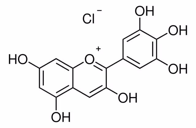 CLORURO DE DELFINIDINA pack 1X1MG