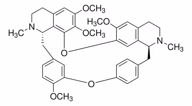 TETRANDRINA pack 1X1G