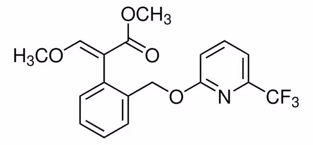 PICOXISTROBINA, PESTANAL paquete 1X100MG