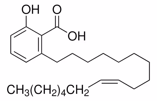 ÁCIDO GINKGÓLICO C17:1 pack 1X5MG