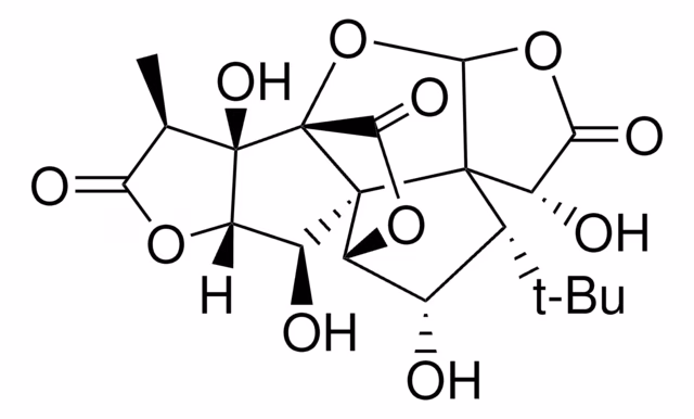 GINKGOLIDA C pack 1X10MG