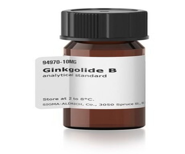 GINKGOLIDA B pack 1X10MG