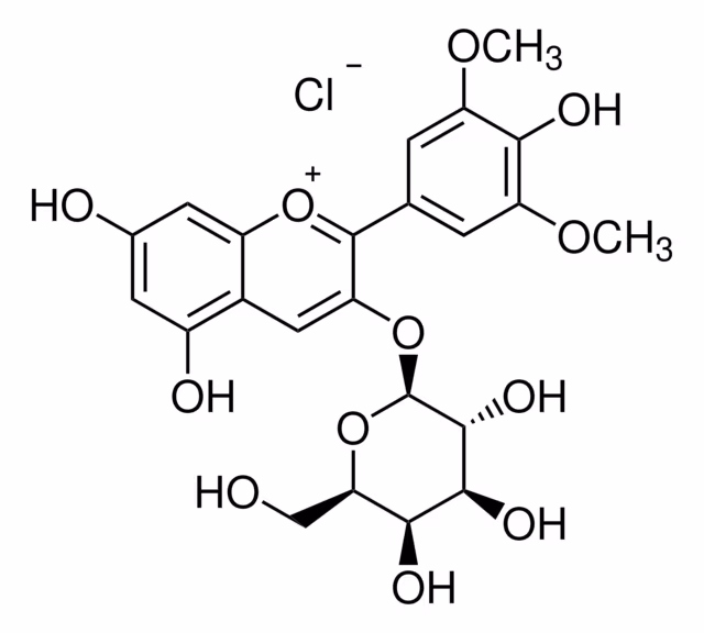 CLORURO DE MALVIDIN-3-O-GALACTOSIDO* pack 1X1MG