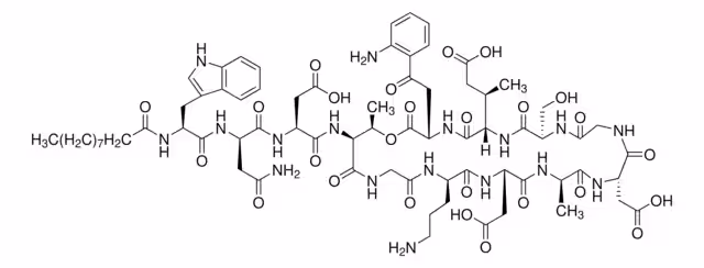 SOLUCIÓN PREPARADA DE DAPTOMICINA paquete 1X0.5ML