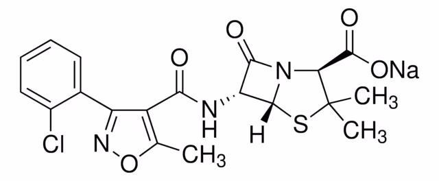 SAL SÓDICA DE CLOXACILINA >= 95,0% (HPLC) paquete 1X1G