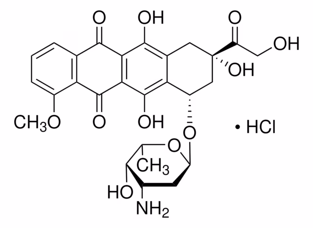 DOXORUBICINA CLORHIDRATO APTO PARA & pack 1X1MG