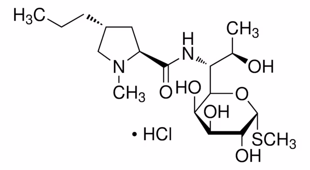 Hidrocloruro de Lincomycin 96.0-102.0% (HPLC) paquete 1X1G
