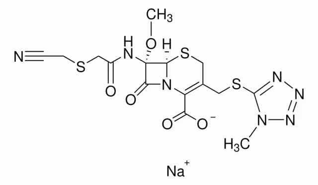 CEFMETAZOL SODIO paquete 1X1G
