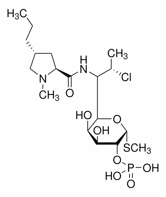 CLINDAMICINA 2-FOSFATO, AMINOGLICOSIDO& pack 1X50MG