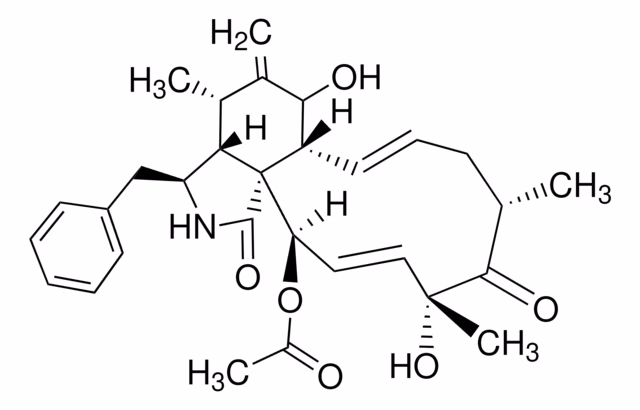 CITOCHALASINA D DE ZYGOSPORIUM MANSONI& pack 1X200UL