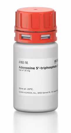 ADENOSINA-5'-TRIFOSFATO SAL DISÓDICA pack 1X1VL