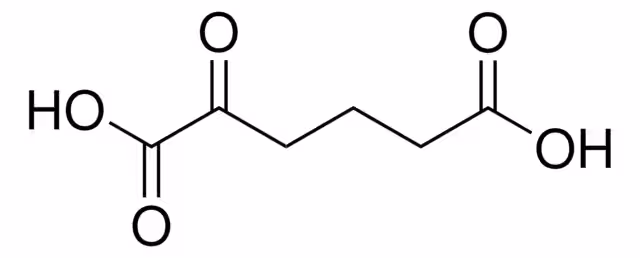 2-ÁCIDO OXOADÍPICO pack 1X100MG