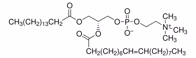 2-OLEOYL-1-PALMITOYL-SN-GLYCERO-3-PHOSPH paquete 1X100MG