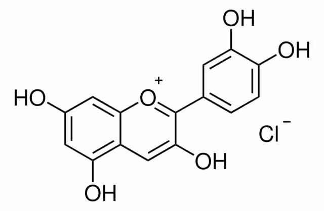 CLORURO DE CIANIDINA pack 1X1MG