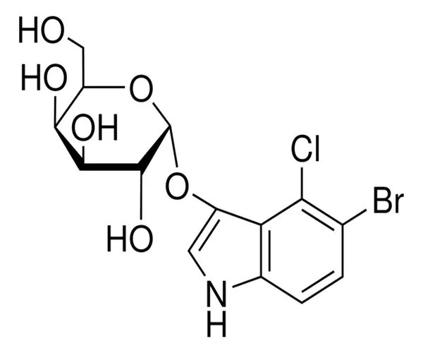 5-BROMO-4-CLORO-3-INDOLILO <ALFA>-D-GAL pack 1X25MG