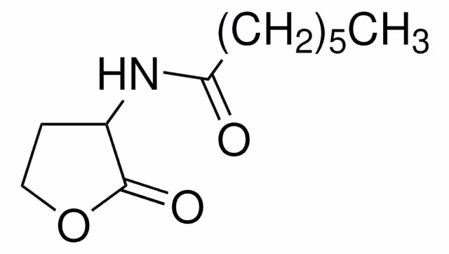 N-HEPTANOIL-DL-HOMOSERINA LACTONA >= 97& paquete 1X25MG