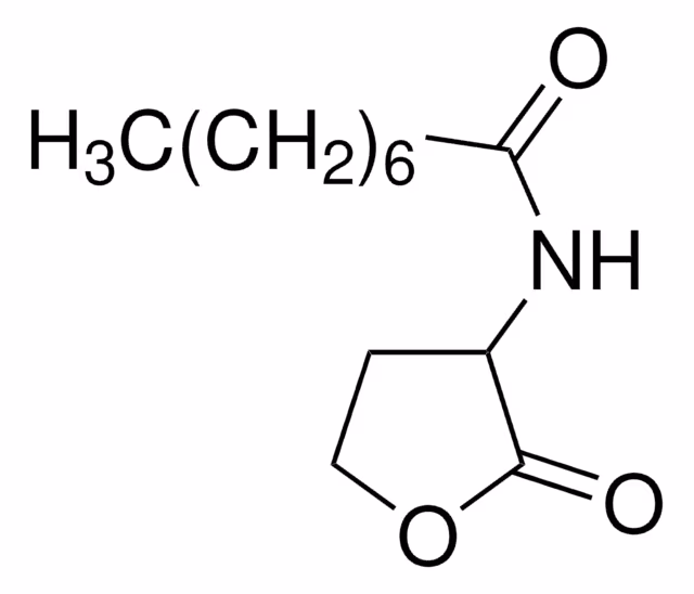N-OCTANOYL-DL-HOMOSERINA LACTONA >= 97.& paquete 1X25MG