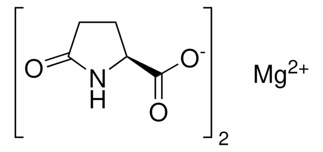L-PIDOLATO DE MAGNESIO pack 1X500G