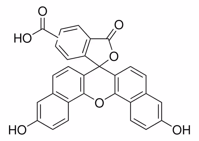 5(6)-CARBOXINAFTOFLUORESCEÍNA, BIOREAGE pack 1X25MG
