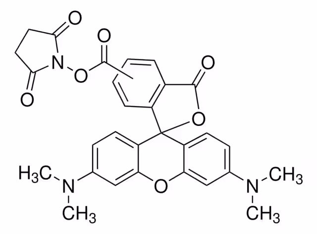 5(6)-CARBOXITETRAMETILRODAMINA N-SUCC& pack 1X25MG