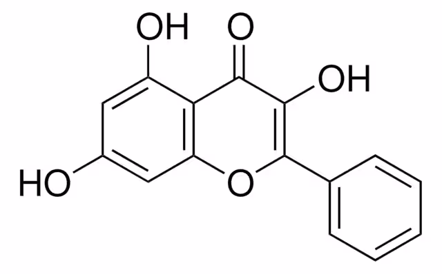 GALANGIN, FLAVONOIDE INDUCTOR DE AUTOFAGIA pack 1X25MG
